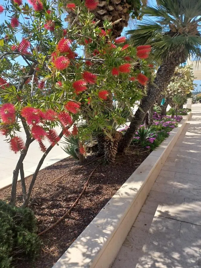 Apartman App Dalia Losinj